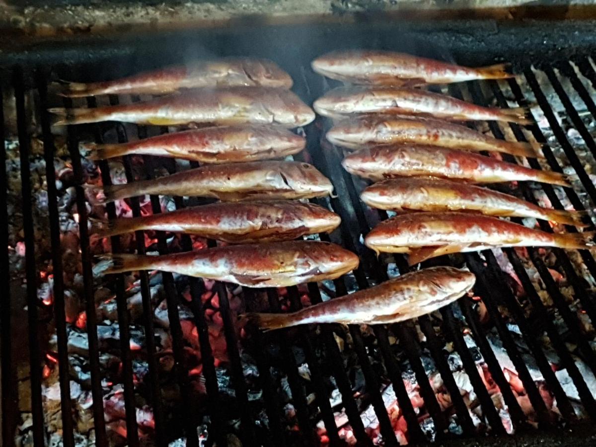 Apartmani Rokic Seget Vranjica Bagian luar foto
